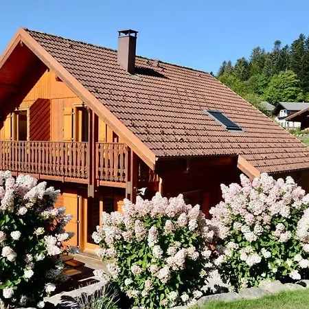 Le Murmure Du Ruisseau, Beau Chalet Avec Terrasse * Xonrupt-Longemer